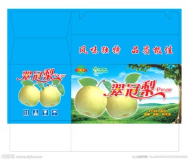 手提翠冠梨设计