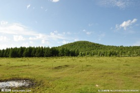 草原风光