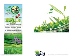 春茶 茶包装