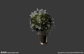 鲜花模型