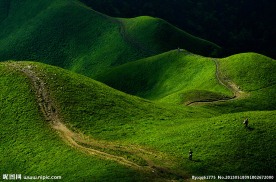 高山草地
