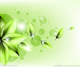 绿叶背景