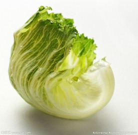 新鲜生菜