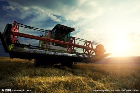 小麦收割机 麦田