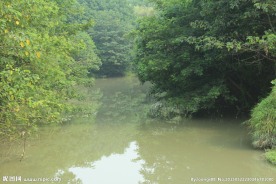 浣花溪公园