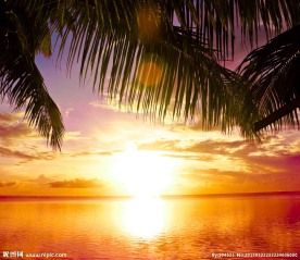 夕阳 大海
