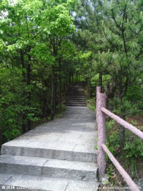 宁静的林间小路
