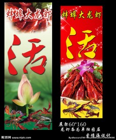 龙虾展架