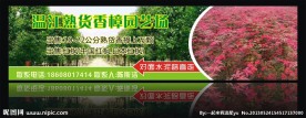 温江香樟园艺场喷绘