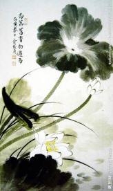 荷花