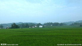 美丽乡村