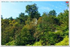 佛教圣地 武仙寺山水