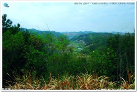 佛教圣地 武仙寺山水