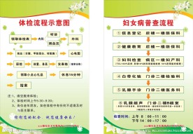 体检示意图妇女病普查