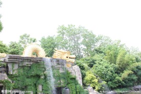 自然风景