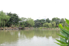 雷岗公园一角