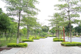 雷岗公园一角