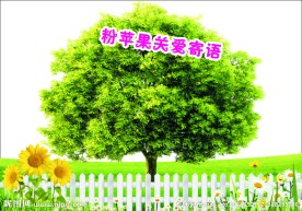 春姿绽放苹果树