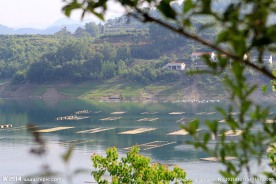 瀛湖风景
