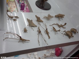 手工艺品结集号