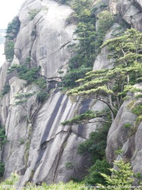 安徽黄山风景