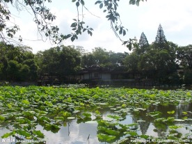 江南水乡风景