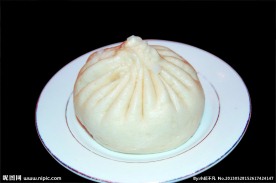 酱肉大包子