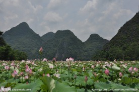 风景画