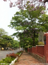 建筑 风景