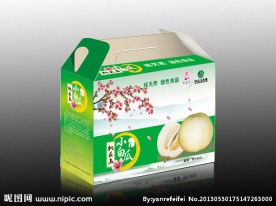包装盒（展开图）