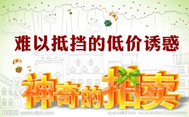 神奇的拍卖