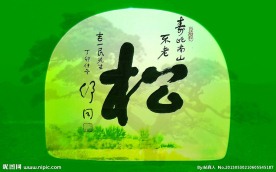 舒同 松