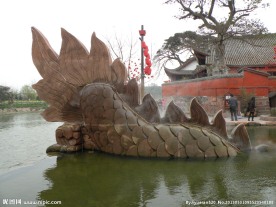 龙尾