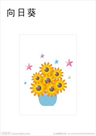 向日葵