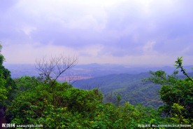 莲花山