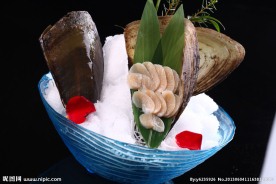带子