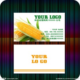 玉米名片