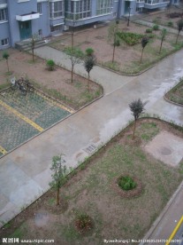 雨中的小区