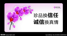 诚信服务