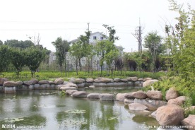 温泉