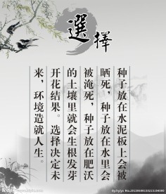 选择
