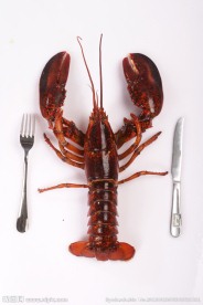 龙虾摄影 海鲜