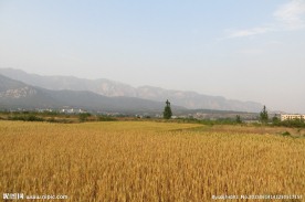 嵩山风景