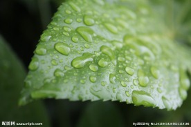 雨滴