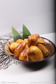 牛肝菌