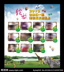 绽放2013