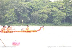 端午赛龙舟