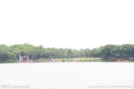 端午赛龙舟