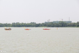 端午赛龙舟