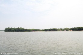 湖面景观